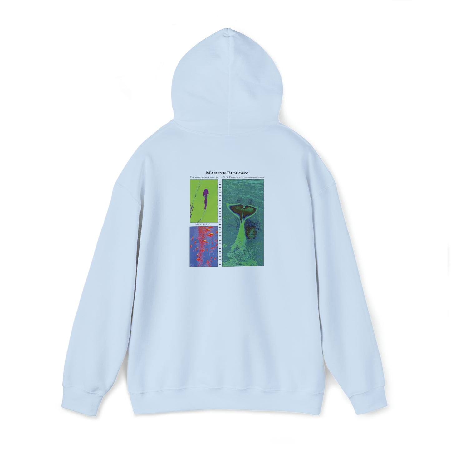 Unisex Heavy Blend™ Hooded Sweatshirt