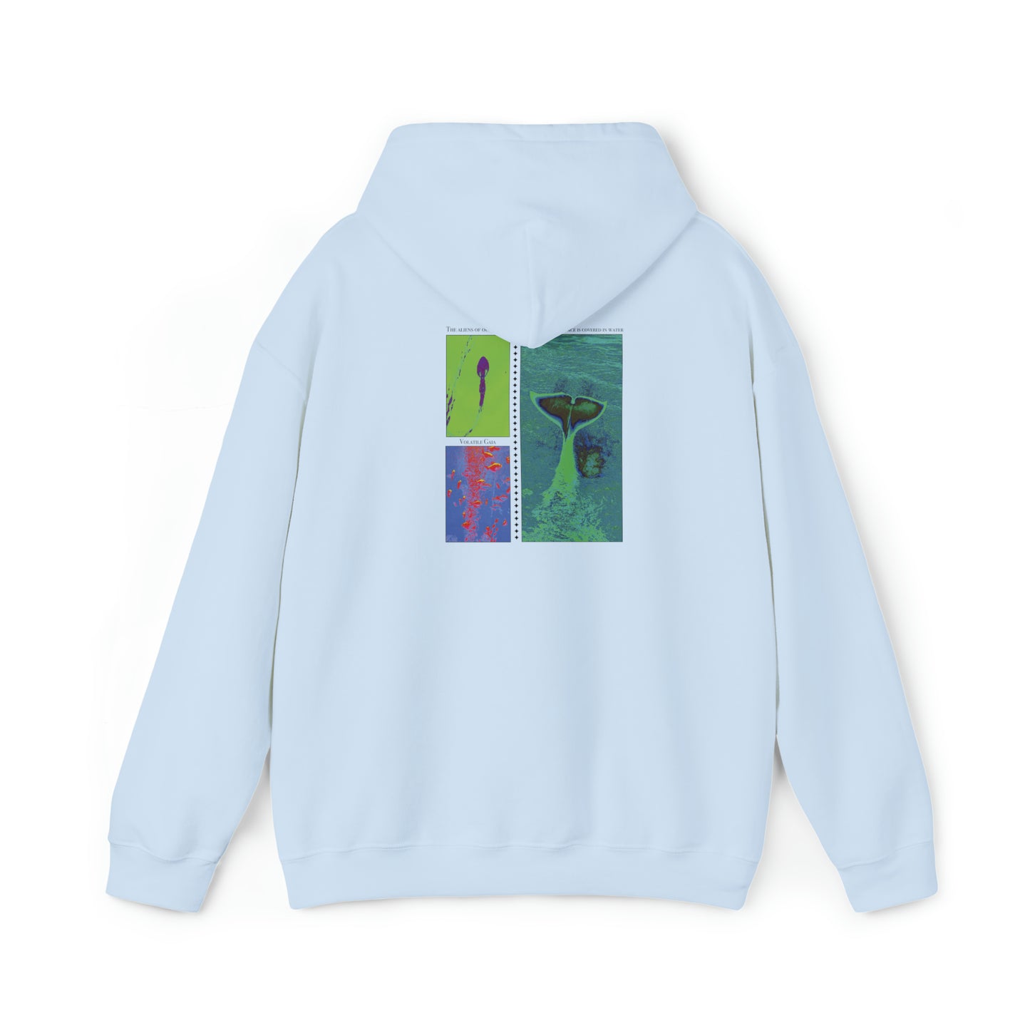 Unisex Heavy Blend™ Hooded Sweatshirt